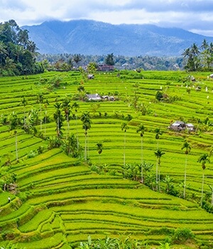 Breathtaking Bali