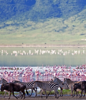 Discover Tanzania