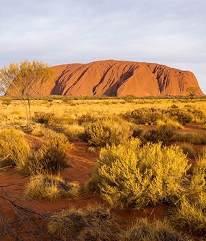 Explore Central Australia