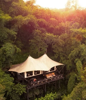 Glamping in Chiang Rai