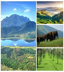 Hills of the South India