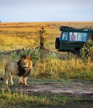 Kenya & Tanzania Safari