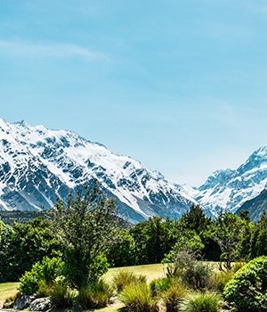 Romantic New Zealand