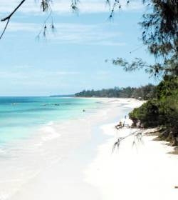 Kenya: Beach & Safari Holiday