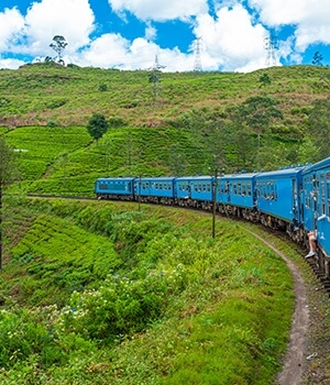 Scenic Tour of Srilanka