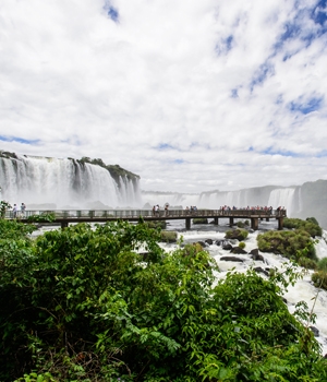 South America: Waterfalls & Wildlife