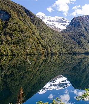 Untouched New Zealand